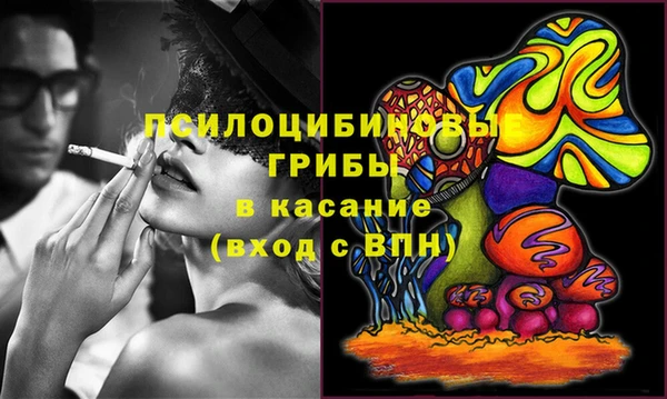 стаф Баксан