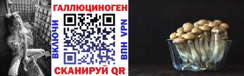 Купить где  Воткинск  Галлюциногенные грибы Psilocybe 